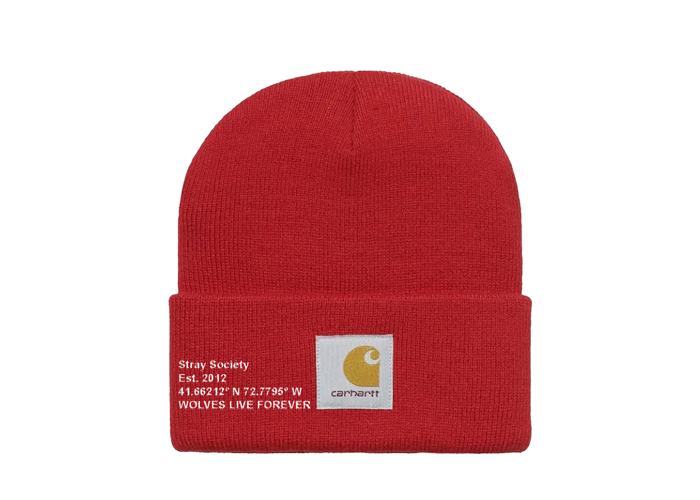 CARHARTT X STRAY BEANIE