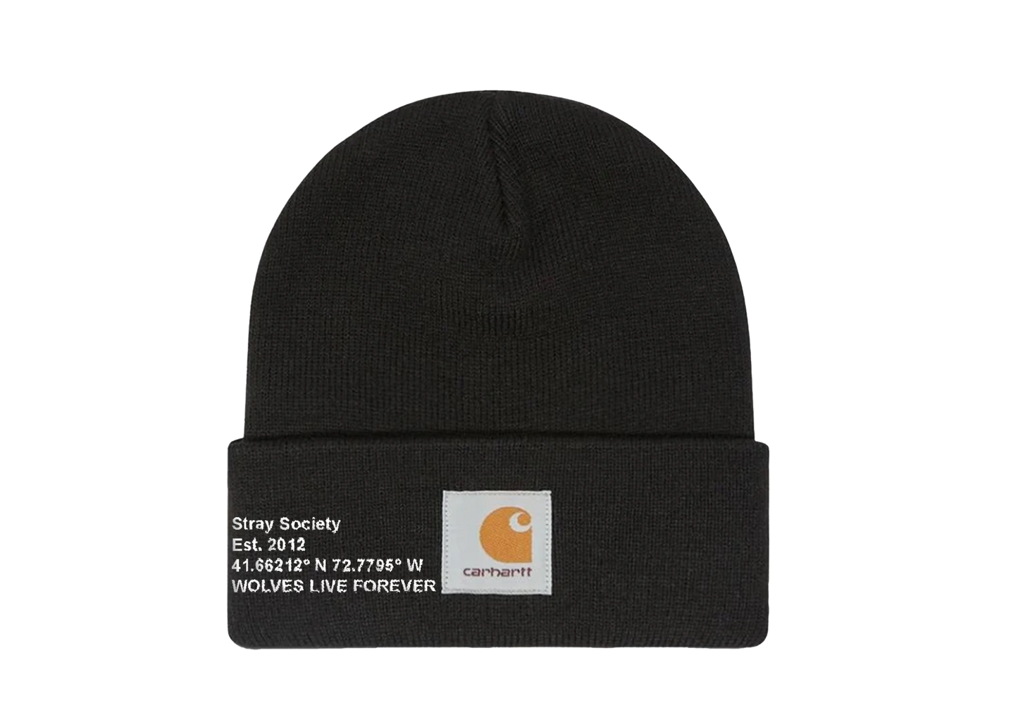 CARHARTT X STRAY BEANIE