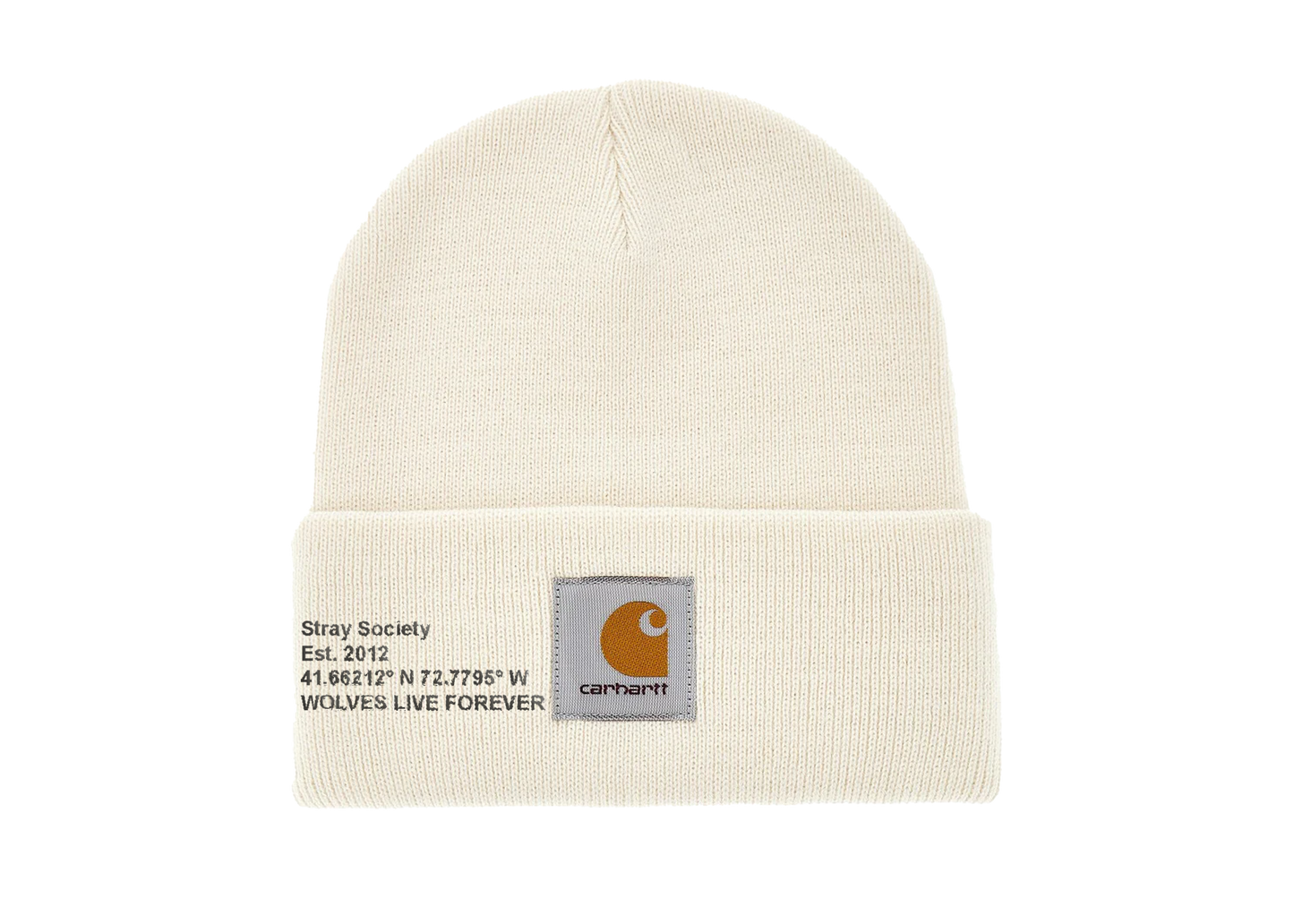 CARHARTT X STRAY BEANIE