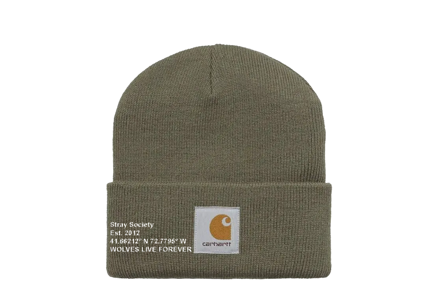 CARHARTT X STRAY BEANIE