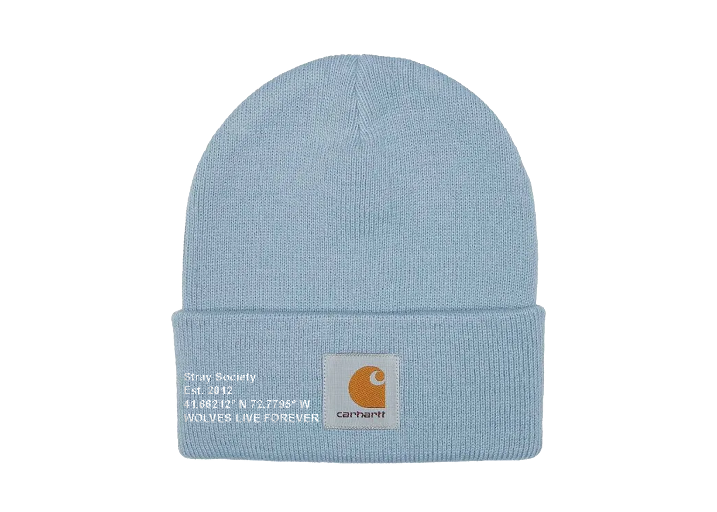 CARHARTT X STRAY BEANIE